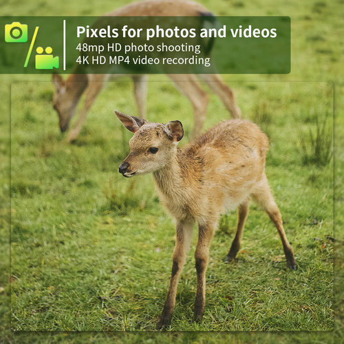 2025年新5K红外相机MP4配SD大卡T