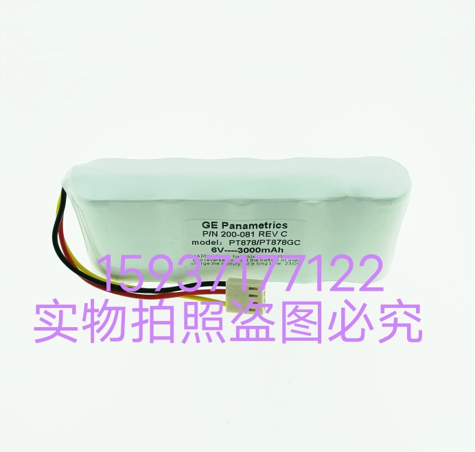 GE Panametrics PT878气体超声波流量计P/N200-081 REVB 6V电池