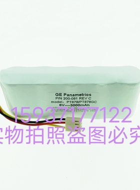 GE Panametrics PT878GC气体超声波流量计电池P/N200-081 REVB 6V
