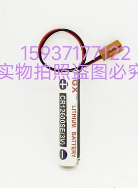 GE FANUC发那科电池IC697ACC701存储器CPU长效CR12600SE锂电池