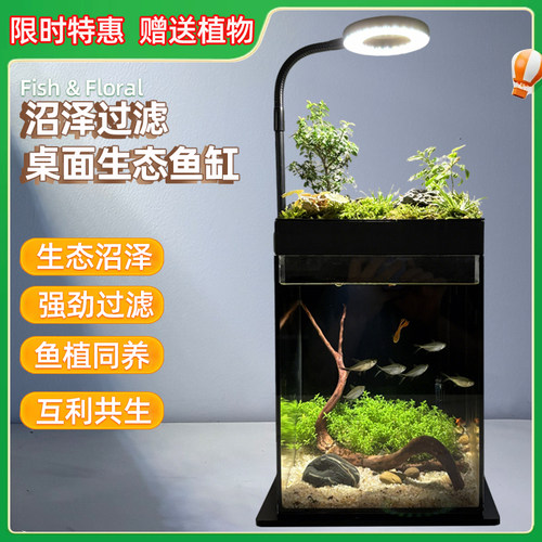 沼泽过滤懒人免换水桌面生态鱼缸