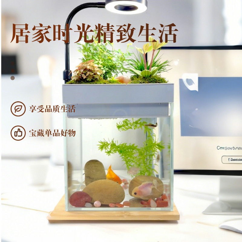 定制新款懒人免换水沼泽过滤桌面生态造景小鱼缸鱼植共养上过滤盒