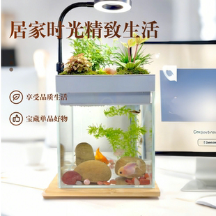 定制新款懒人免换水沼泽过滤桌面生态造景小鱼缸鱼植共养上过滤盒