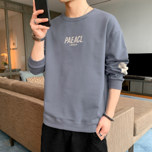 秋季长袖卫衣男t恤男圆领套头刺绣港风宽松精工艺模特灰色9702P40图片