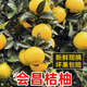 整箱非庆元 10斤装 江西会昌桔柚新鲜孕妇时令水果当季 建阳甜橘柚
