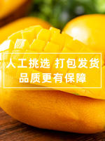 Fresh frozen Guangxi mango flesh 1000g, quick-frozen Tainong mango flesh, Guangxi seasonal frozen mangoes, frozen fruits thumbnail 3