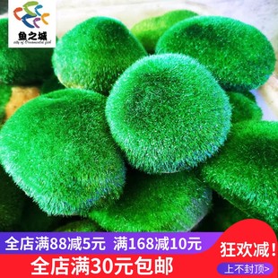鱼之城绿藻石仿真绿藻石鱼缸造景绿藻青苔石鱼缸造景专用绿藻石仿