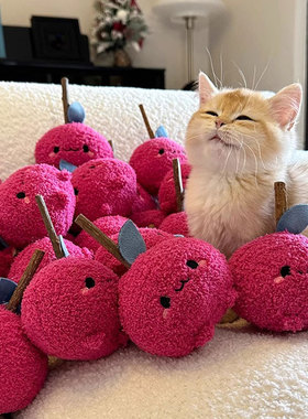 可爱猫咪磨牙玩具耐咬木天蓼猫玩具自嗨解闷萌趣逗猫棒宠物用品