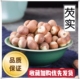 芡实干货新鲜肇庆芡实500g特级中药材正品 米鸡头米红皮有芡实