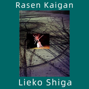 Rasen Kaigan 螺旋海岸 Lieko Shiga 志贺理江子