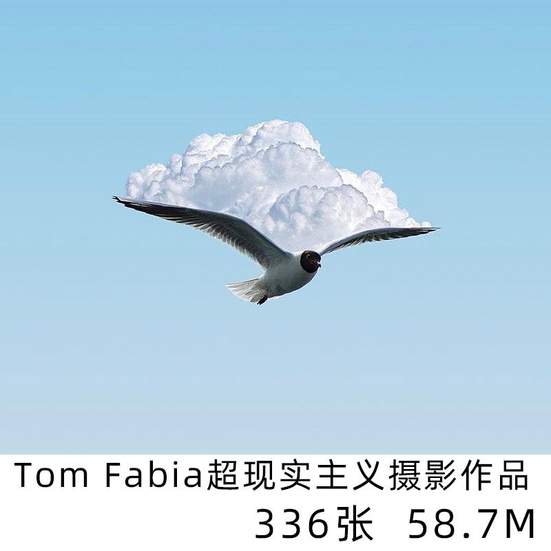 tom fabia 超现实主义摄影师合集风景合成学习参考素材电子版