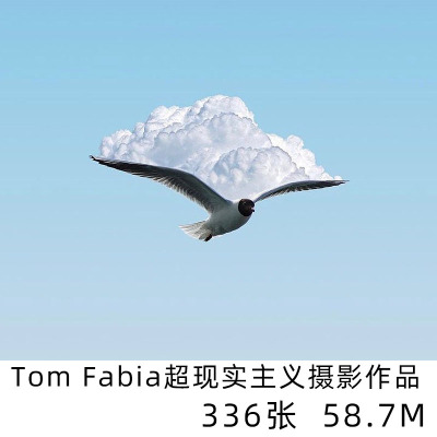 Tom Fabia 超现实主义摄影师合集风景合成学习参考素材电子版