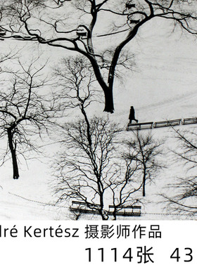 Andre Kertesz 安德烈·柯特兹黑白摄影先驱作品集图片素材资料
