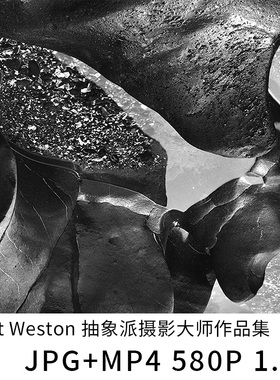 Brett Weston 抽象派摄影大师作品集 JPG+MP4 580P 1.8G