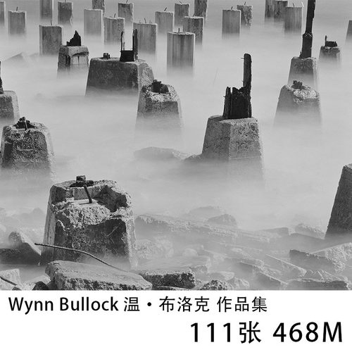 Wynn Bullock 温·布洛克 黑白艺术摄影大师作品集图片素材资料