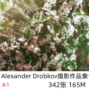Alexander Drobkov 世界摄影大师摄影集 后期构图审美参考素材 A1