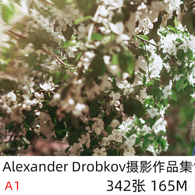 Alexander Drobkov 世界摄影大师摄影集 后期构图审美参考素材 A1