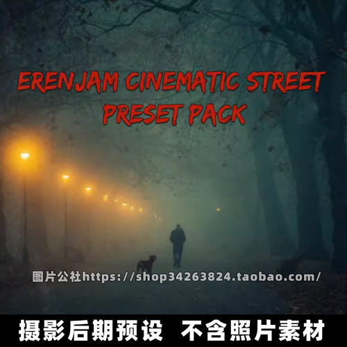 13个XMP格式ErenJam电影色调LR预设 Cinematic Street Presets