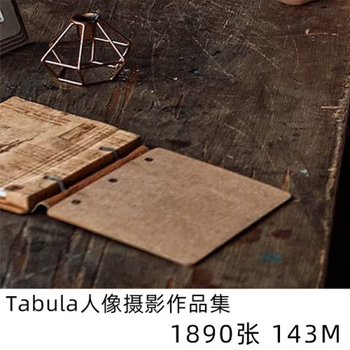 Tabula Rasa 人像摄影相册排版学习参考素材 1153