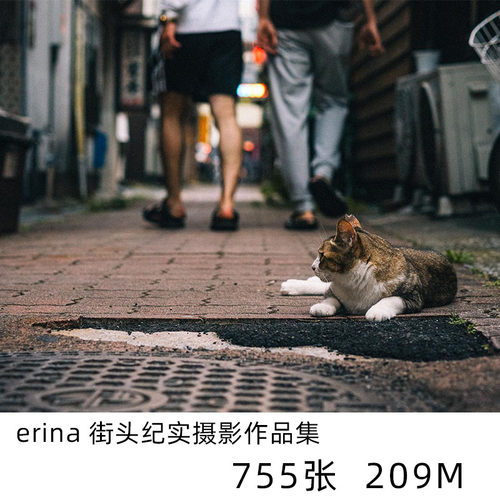 erina 街头风光纪实摄影大师人文纪实素材学习资料