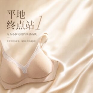 龙牙童推荐【平地终点站1】无痕零束缚女士内衣舒适文胸小胸显大
