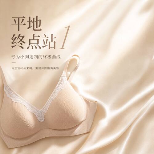 龙牙童推荐【平地终点站1】无痕零束缚女士内衣舒适文胸小胸显大