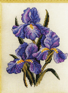 小小鱼ANC绣线十字绣套件 Col115-2紫色鸢尾 花卉花朵手工刺绣
