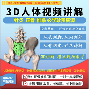 3D人体骨骼肌肉脏腑动画视频学习中医针灸骨正推拿自学习补充提升