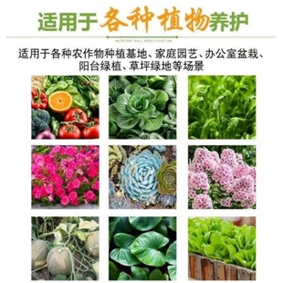 蔬菜专用肥料家用阳台菜园白菜香菜韭菜黄瓜西红柿颗粒缓释肥种菜