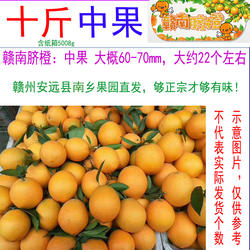 赣南脐橙10斤中果 江西赣州橙子当季鲜果 三百山果源正宗赣南脐橙