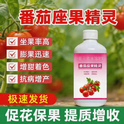 番茄坐果精灵保花保果防落防畸提高坐果率膨果增产专用水溶肥批发