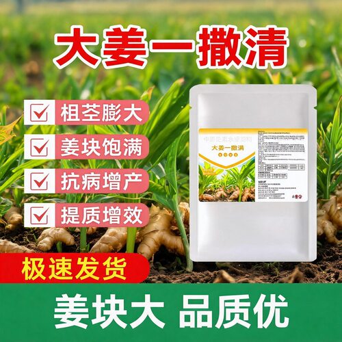 大姜一撇清大姜专 用抑菌调理肥防土传病害养根 护苗膨大增产通用