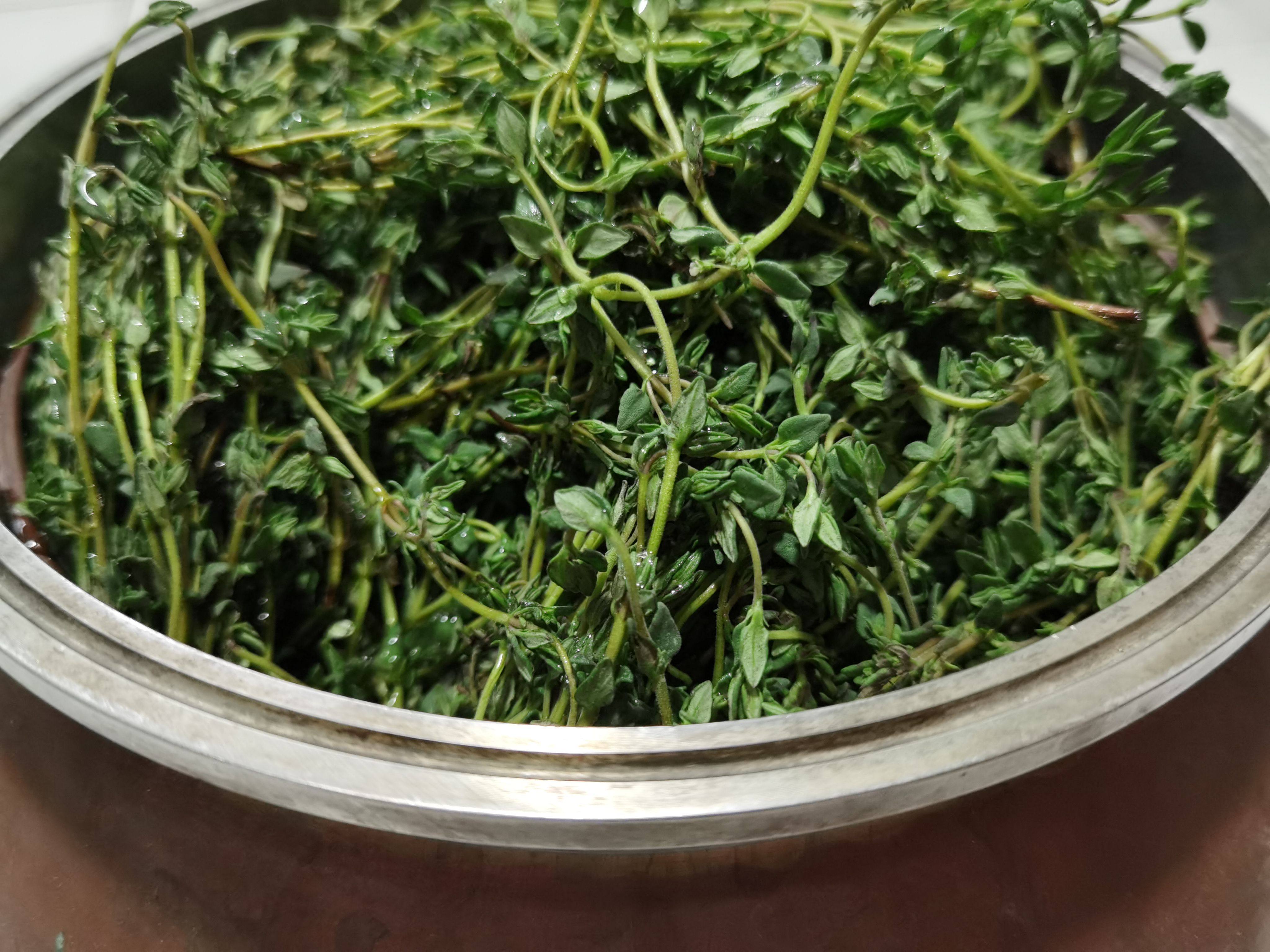 24年新出百里香纯露500毫升