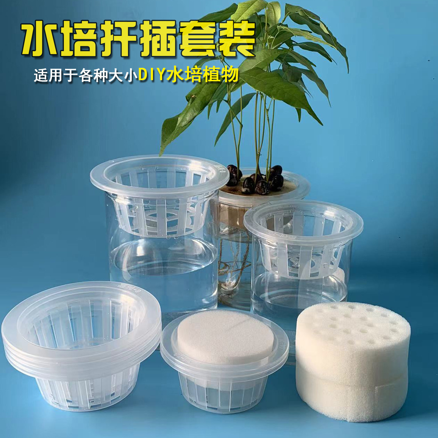 高透明水培器皿配套齐全水培瓶子图片