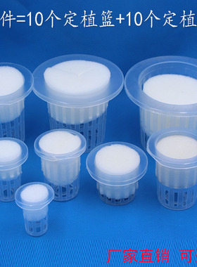 水培植物定植篮无土栽培气雾培蔬菜种植棉塑料篮加深固根器种植杯