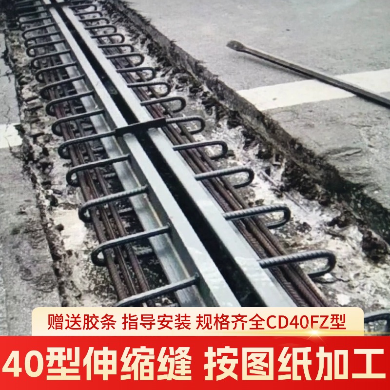型钢伸缩缝GQFC40F60D80