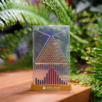 美国高尔顿正态分布模型stem认证