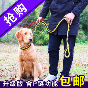 尼龙八股狗链子双色编制项圈牵引绳中大型犬金毛狗绳P链厂家直销