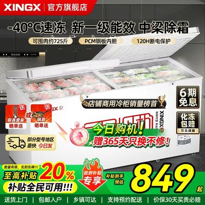 星星一级能效商用冷冻柜大容量