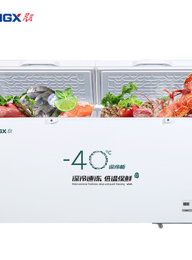 星星BD/BC-408GS商用冰柜718升大容量冷冻冷藏双温1年保修