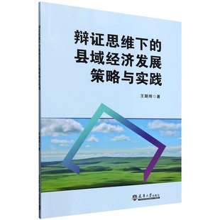 全新正版书籍 辩证思维下的县域经济发展策略与实践 王朝辉| 9787