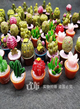 创意立体盆栽仙人掌多肉冰箱贴