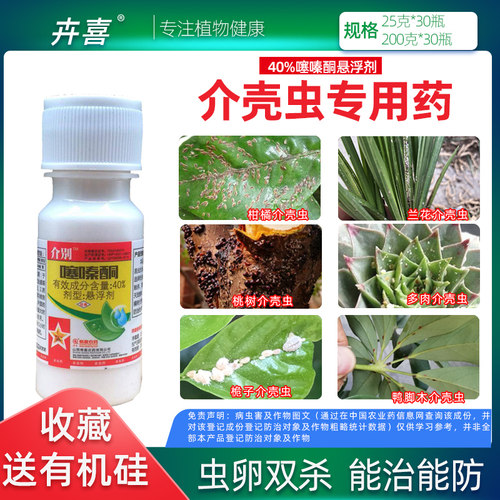 噻嗪酮多肉白粉虱植物花卉杀虫剂