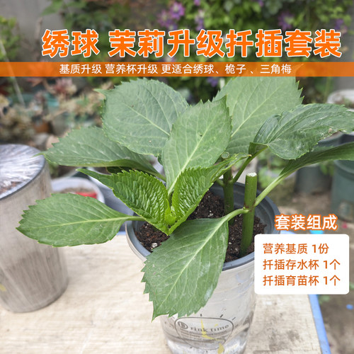 卉喜扦插套装月季绣球茉莉生根套装扦插繁殖通用