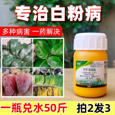 多菌灵月季黑斑病花卉药剂