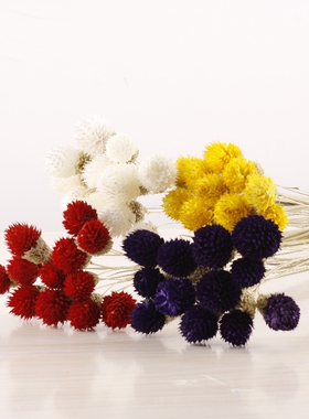 云南干花可爱花黄色仿真花