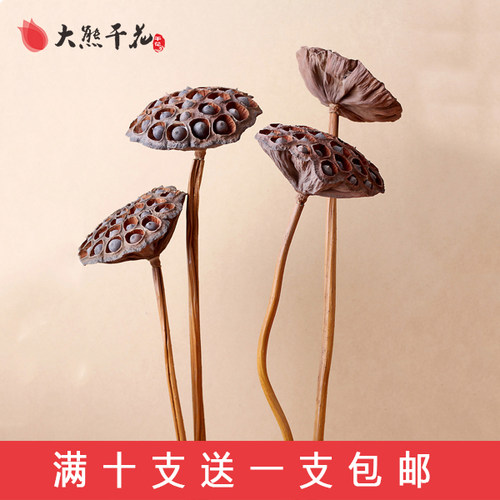 客厅装饰花真杆特大尺寸饱满莲蓬