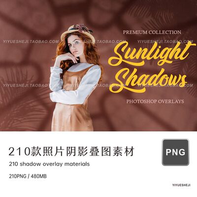 png植物窗户窗框光线阴影素材免扣ps叠图叠层修图溶图素材2