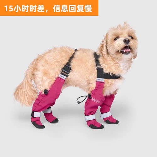宠物狗防水防掉防脏鞋