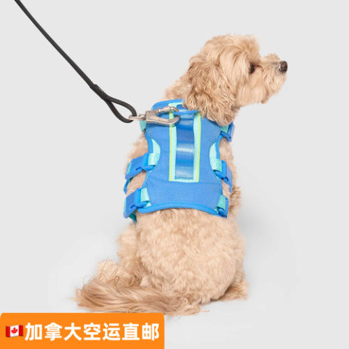 Canadapooch宠物狗防晒胸衣